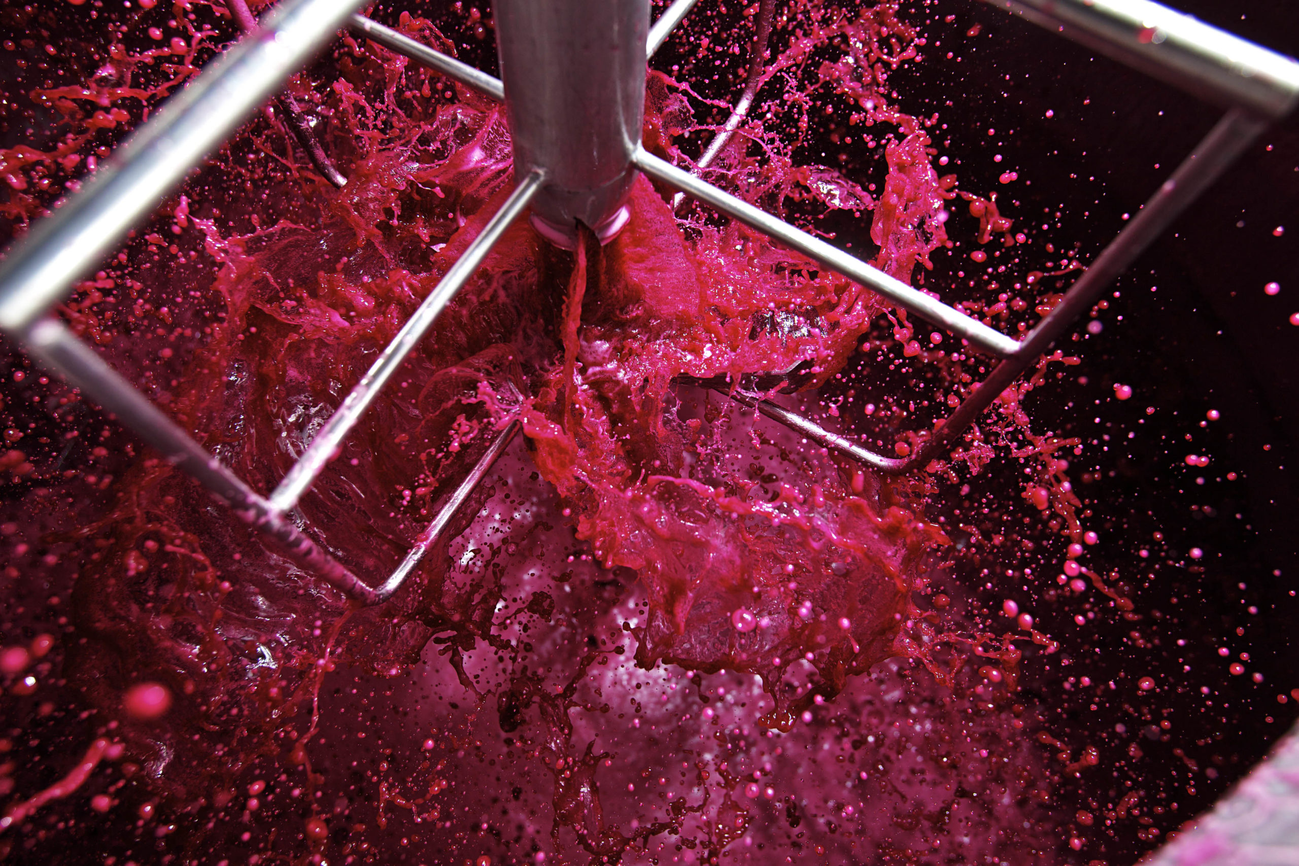 Weingut Gesellmann, Deutschkreutz, Burgenland: Rotwein-Vinifikation