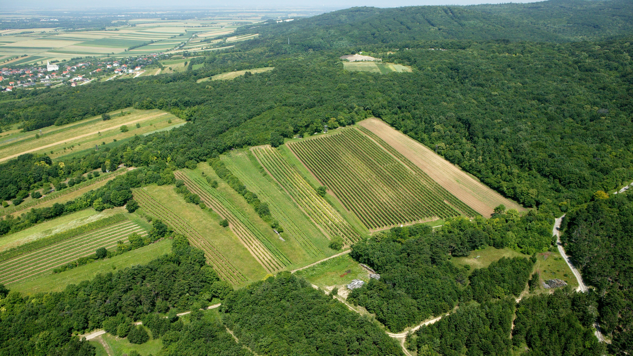 Foto-1_neu_348GloFlu1_Arial-View-Gloria