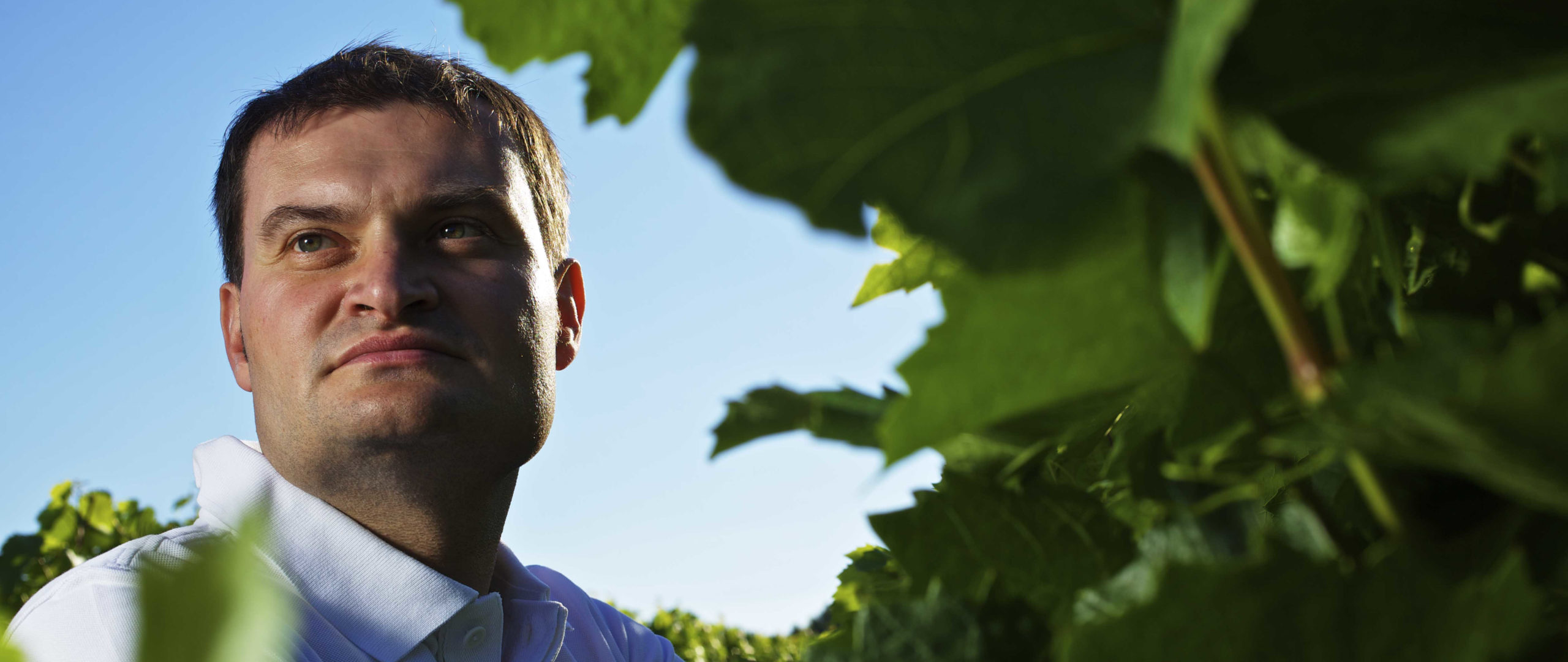 Weingut Krutzler