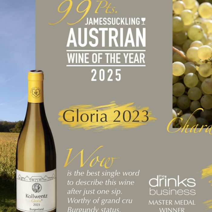 595682216_1522901415909897_5429932551760431760_n 595682216_1522901415909897_5429932551760431760_n